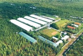 Bán Trang trại đang cho thuê 430 triệu/tháng tại Hàm Thuận Nam,Bình Thuận